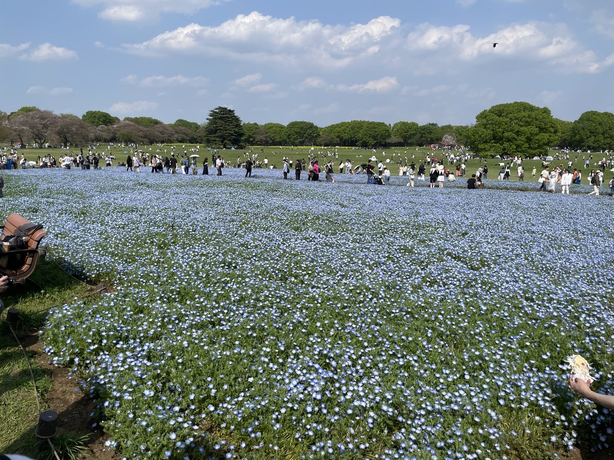 よーさん tweet media