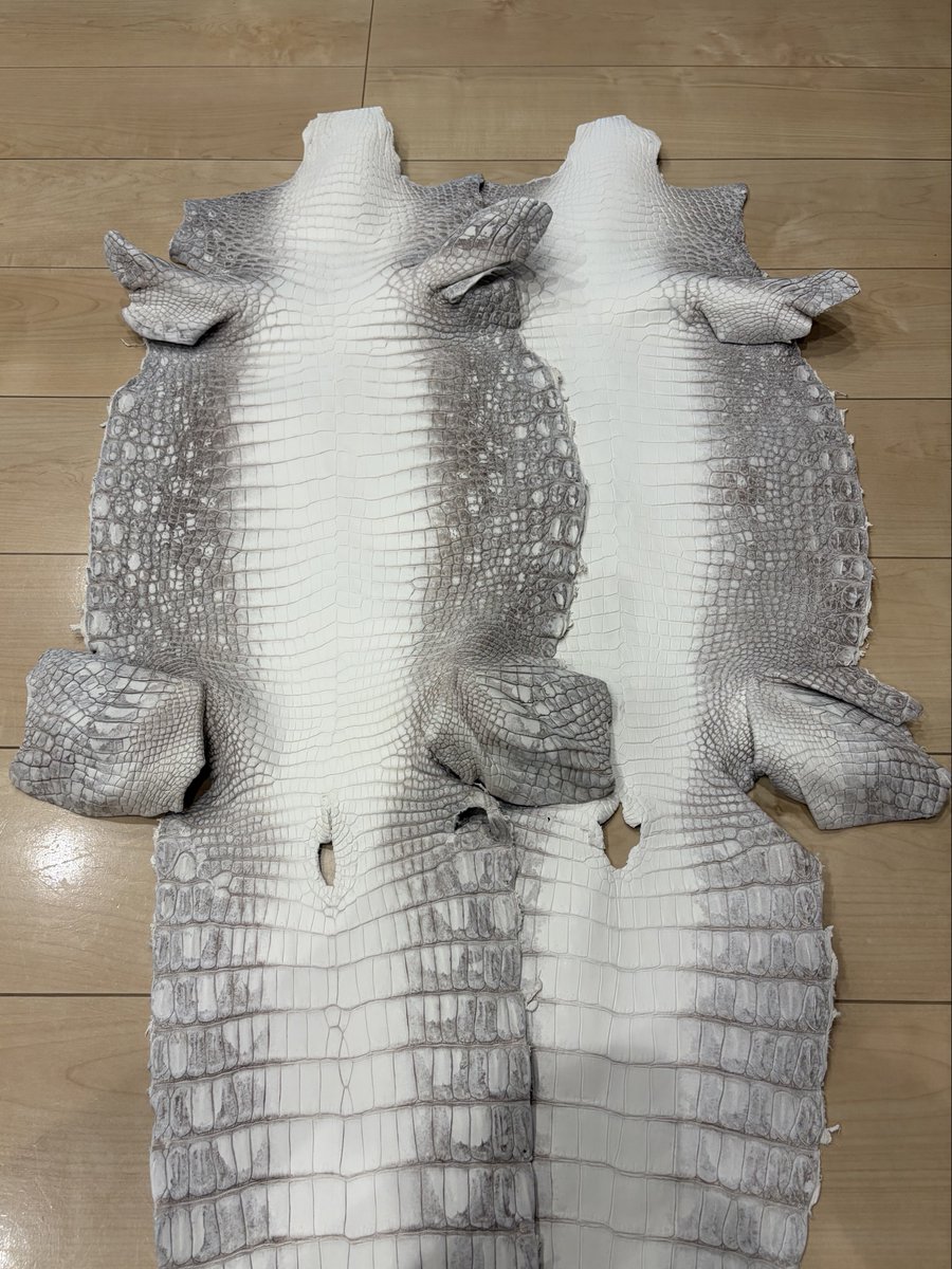 牛革を買うつもりが、ついついクロコを買ってしまいまして。
ヒマラヤ仕上げのポロサス、堪りません。