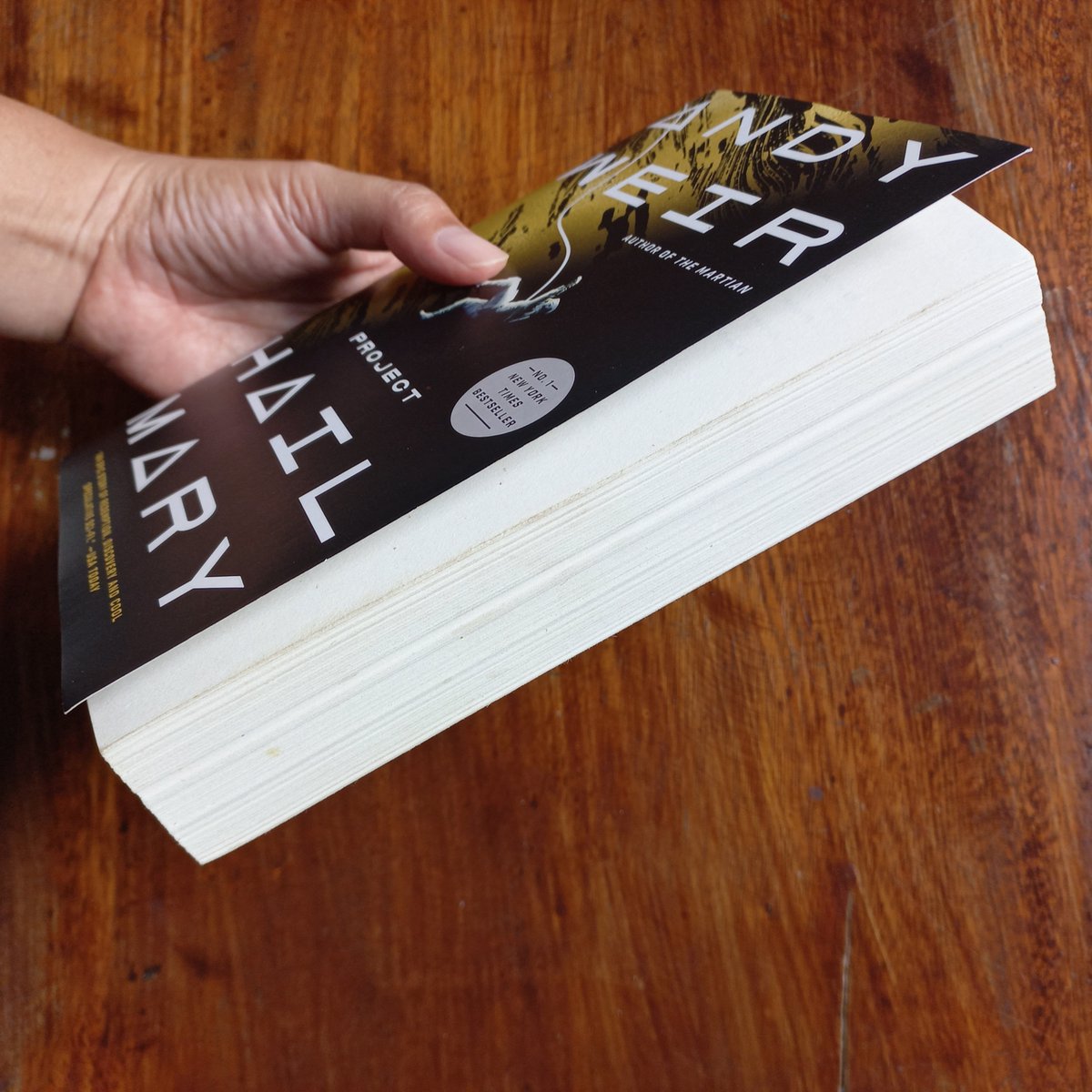 raven is selling books 🛍️ tweet media