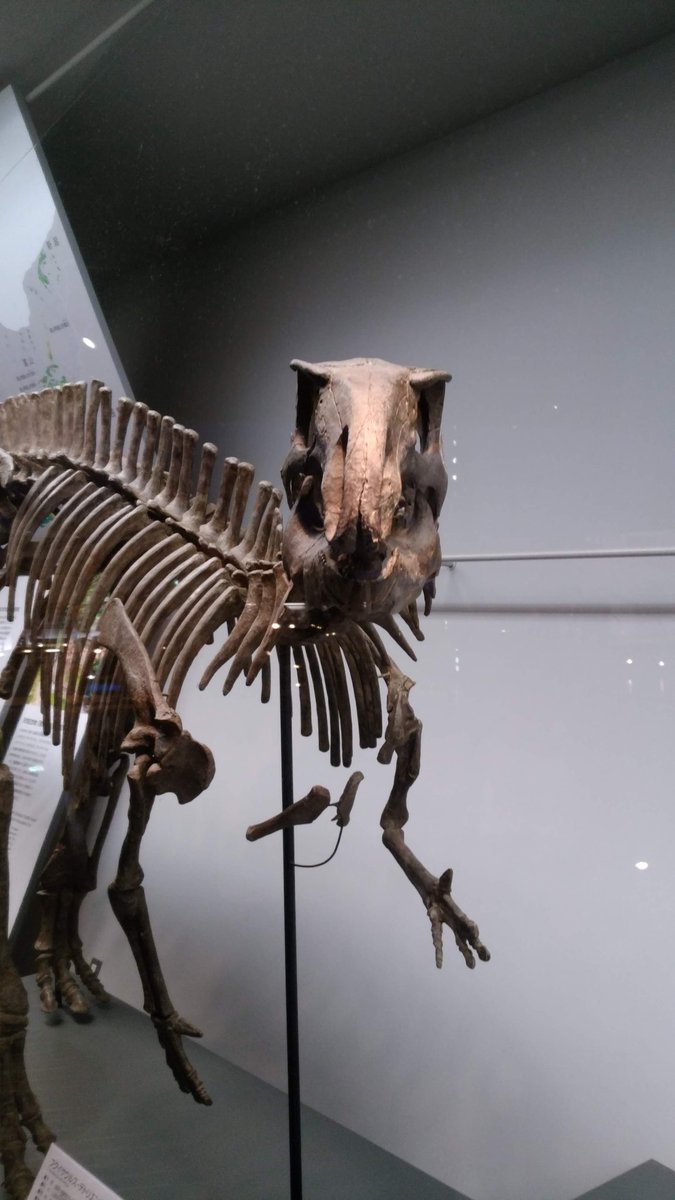 あ〜る🫀📻🔥(σ∋σ) 💪🏻( ´.-｀ 💪🏻)🐒🌻 tweet media