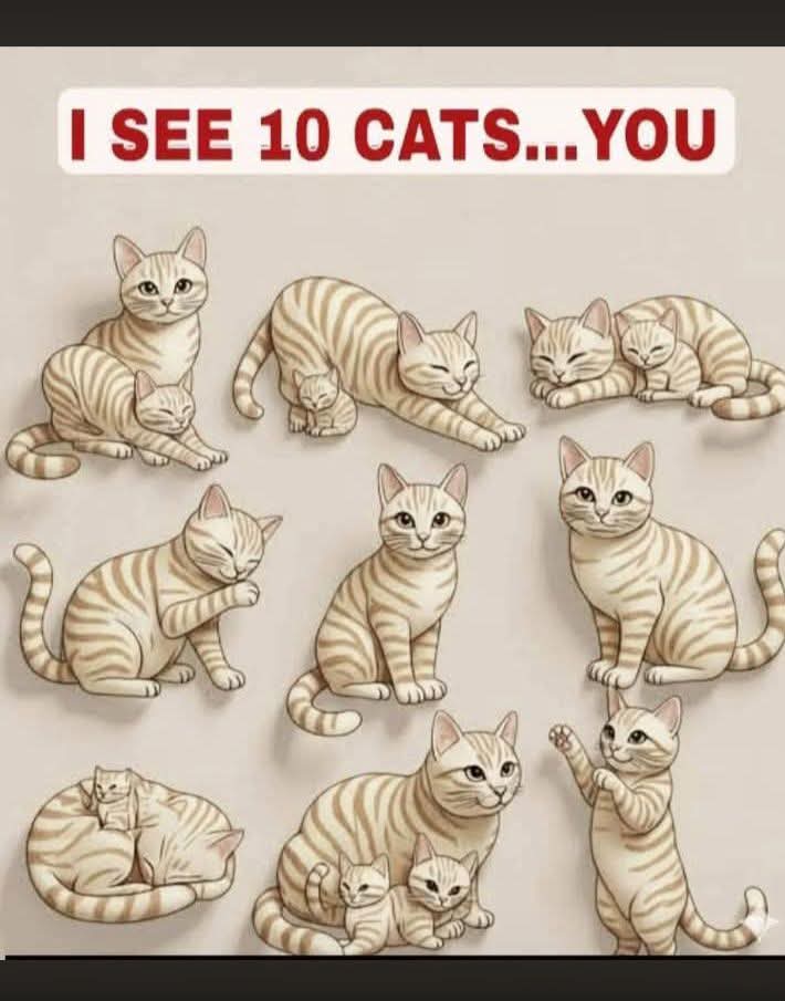 Lily Rosewood tweet media