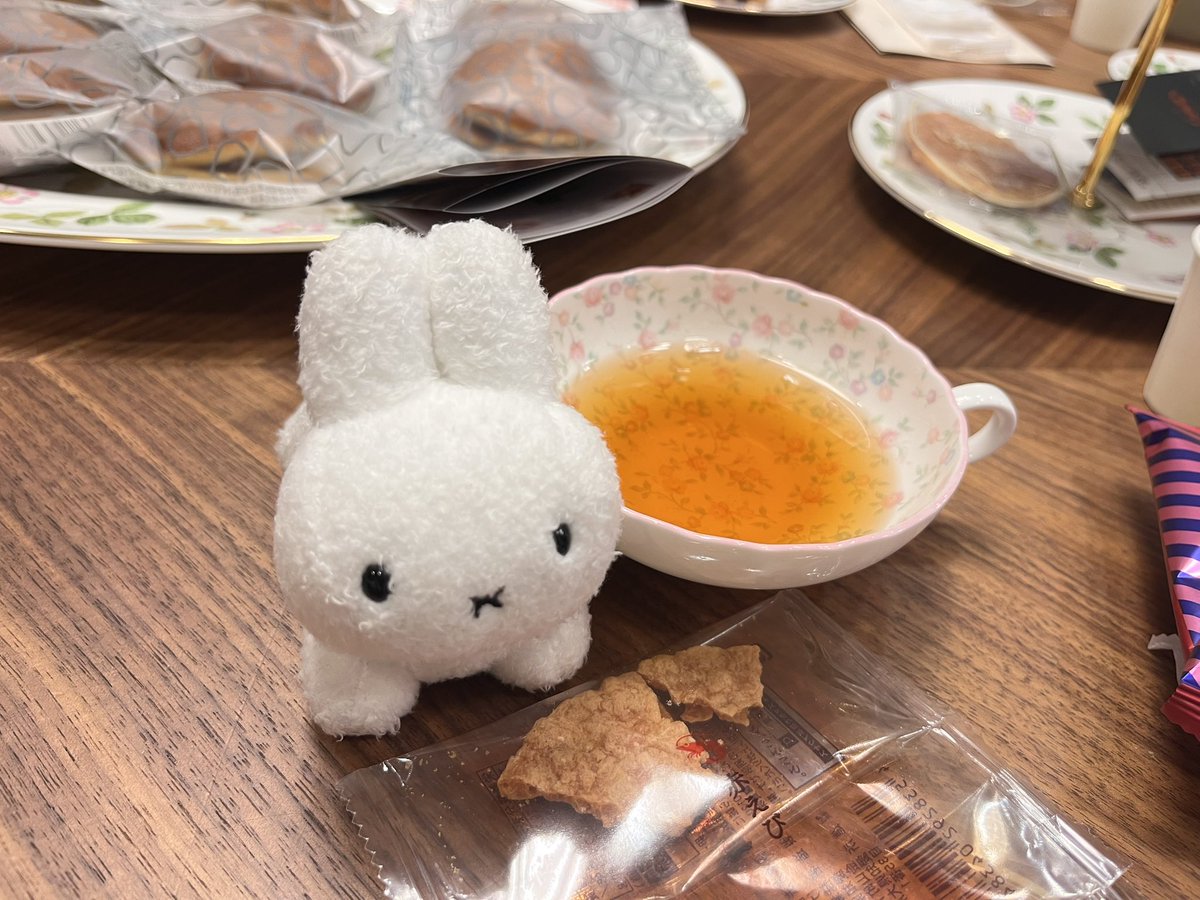 美島ココ tweet media