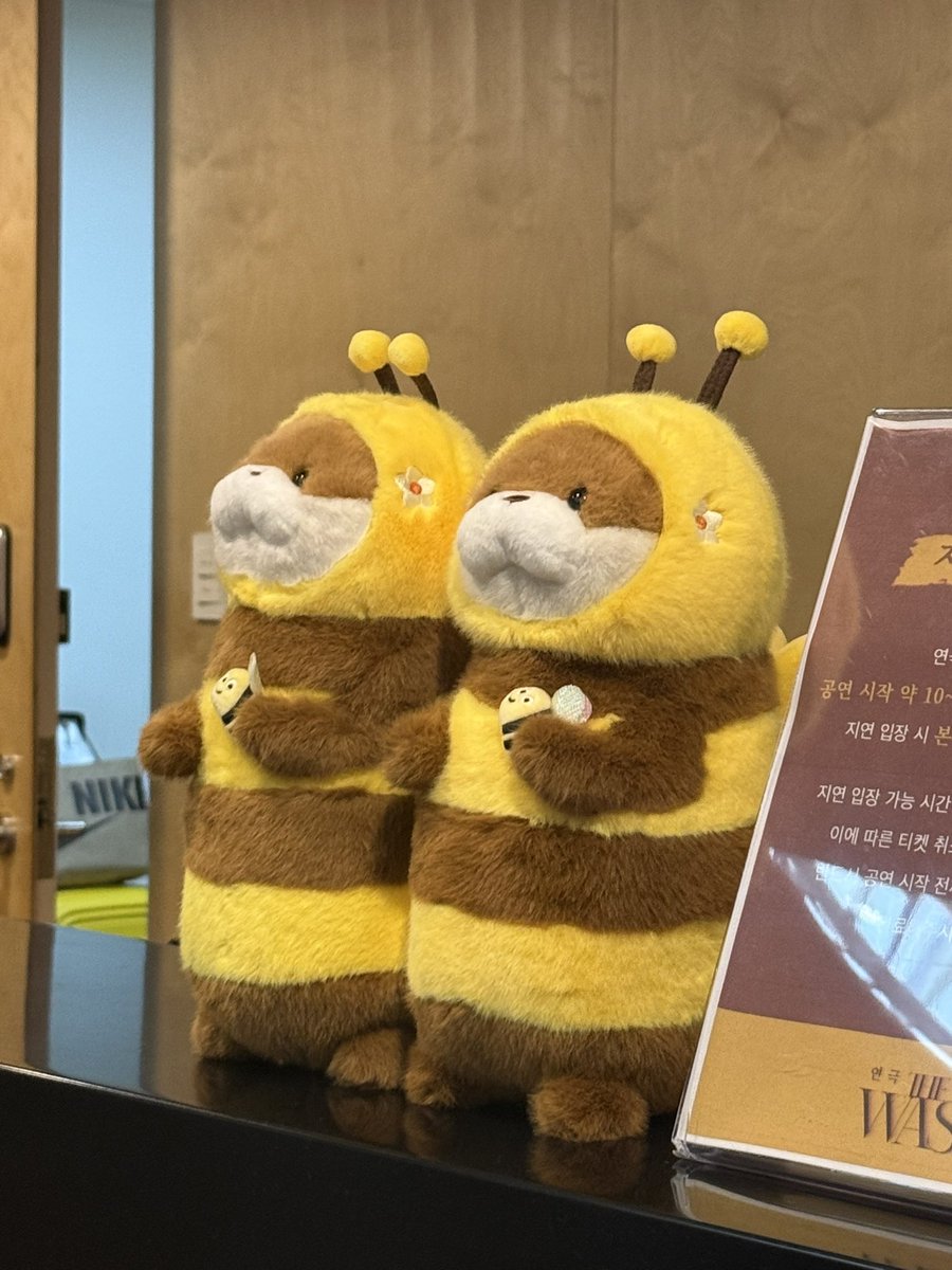 🎭🐱 ②⑥ ➪ 빠다 tweet media