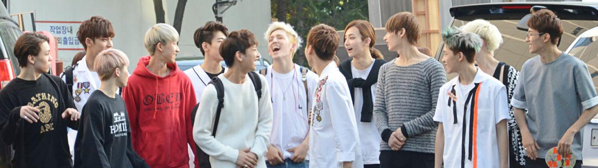 This Is Sheep tweet media