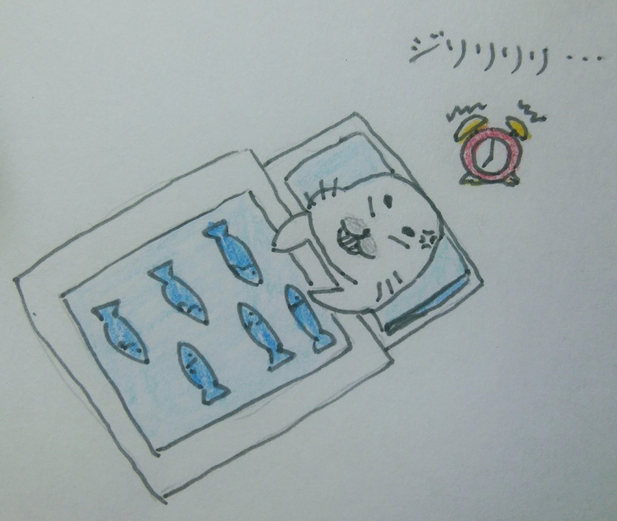 ゴマ丸 tweet media