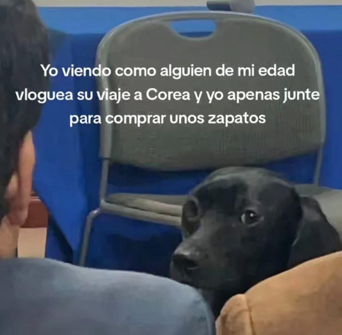 cornulda tweet media