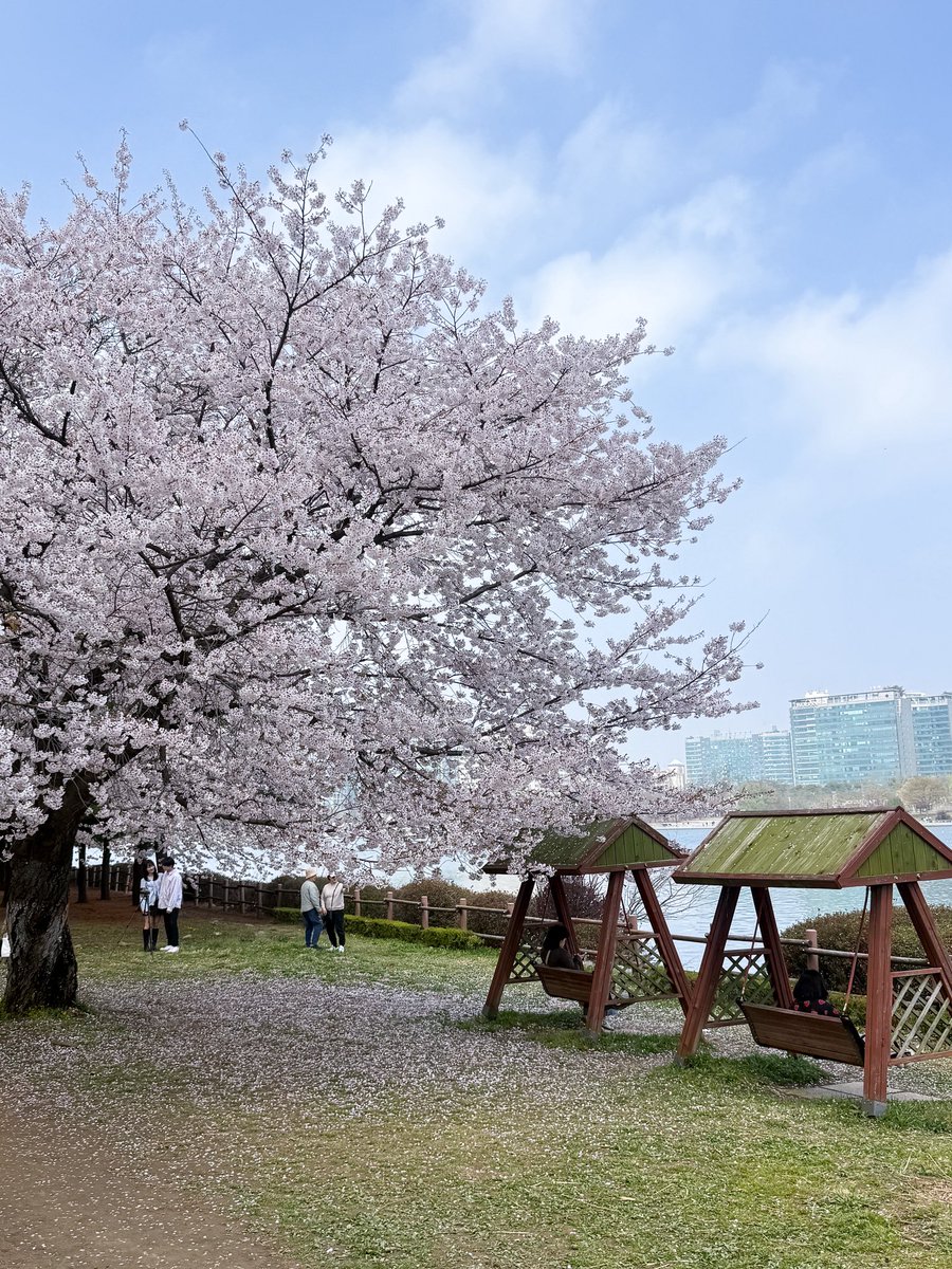 เม้าท์มอยเกาหลี tweet media