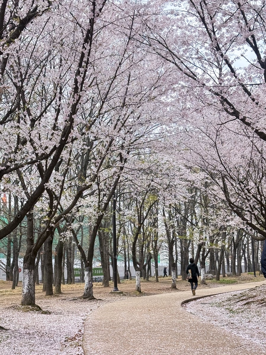 เม้าท์มอยเกาหลี tweet media