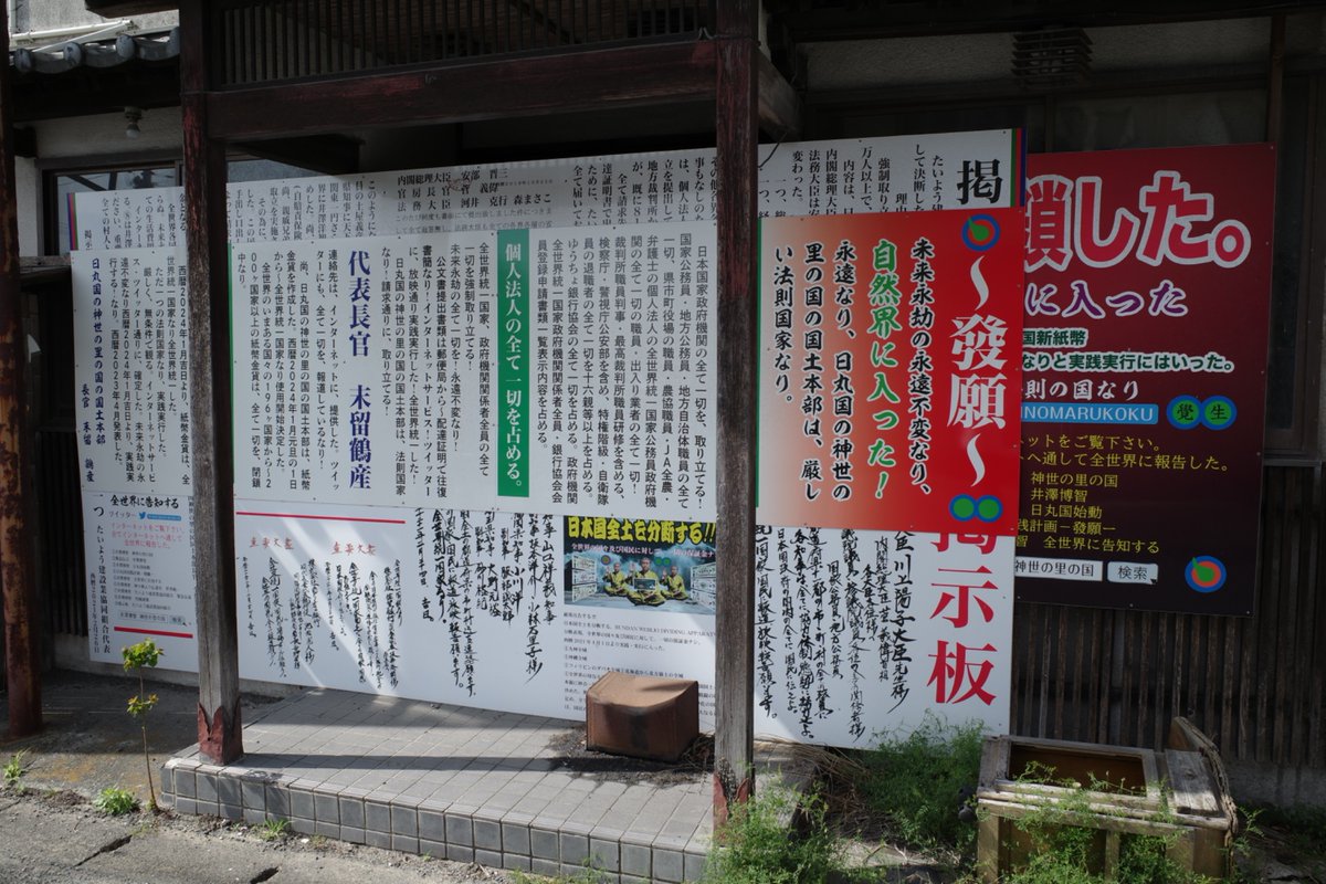 梅なん天 tweet media