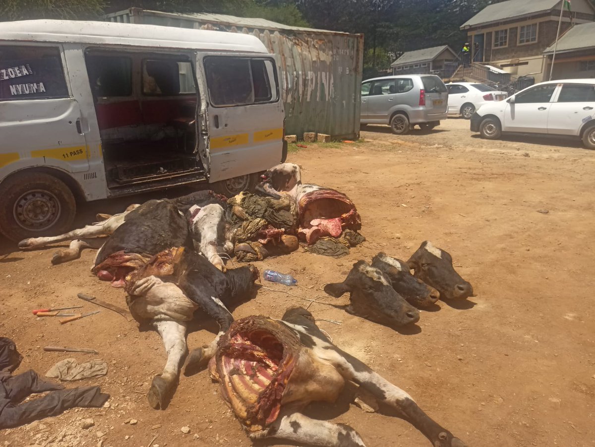 PoliticsCounty's tweet photo. Bandits arrested at Gilgil roadblock as they were heading to Nairobi with beheaded cows that were stolen from Chereta Secondary School in Marmanet Ward, Laikipia West Constituency https://t.co/k71C8NS30g