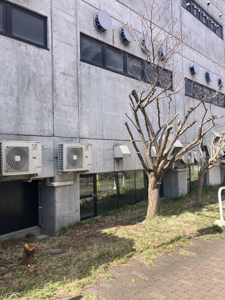 ョゥ𝕏チャリ tweet media