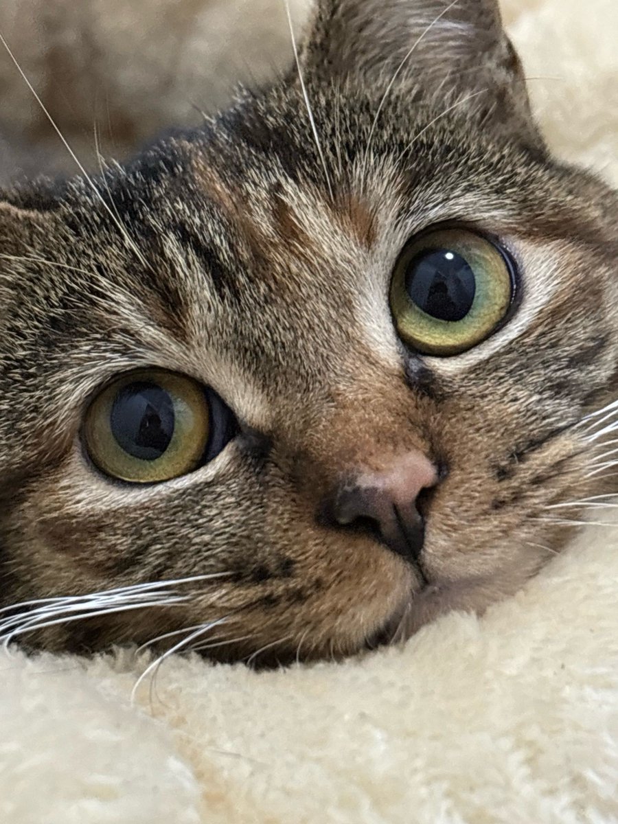 Kishore Sant tweet media