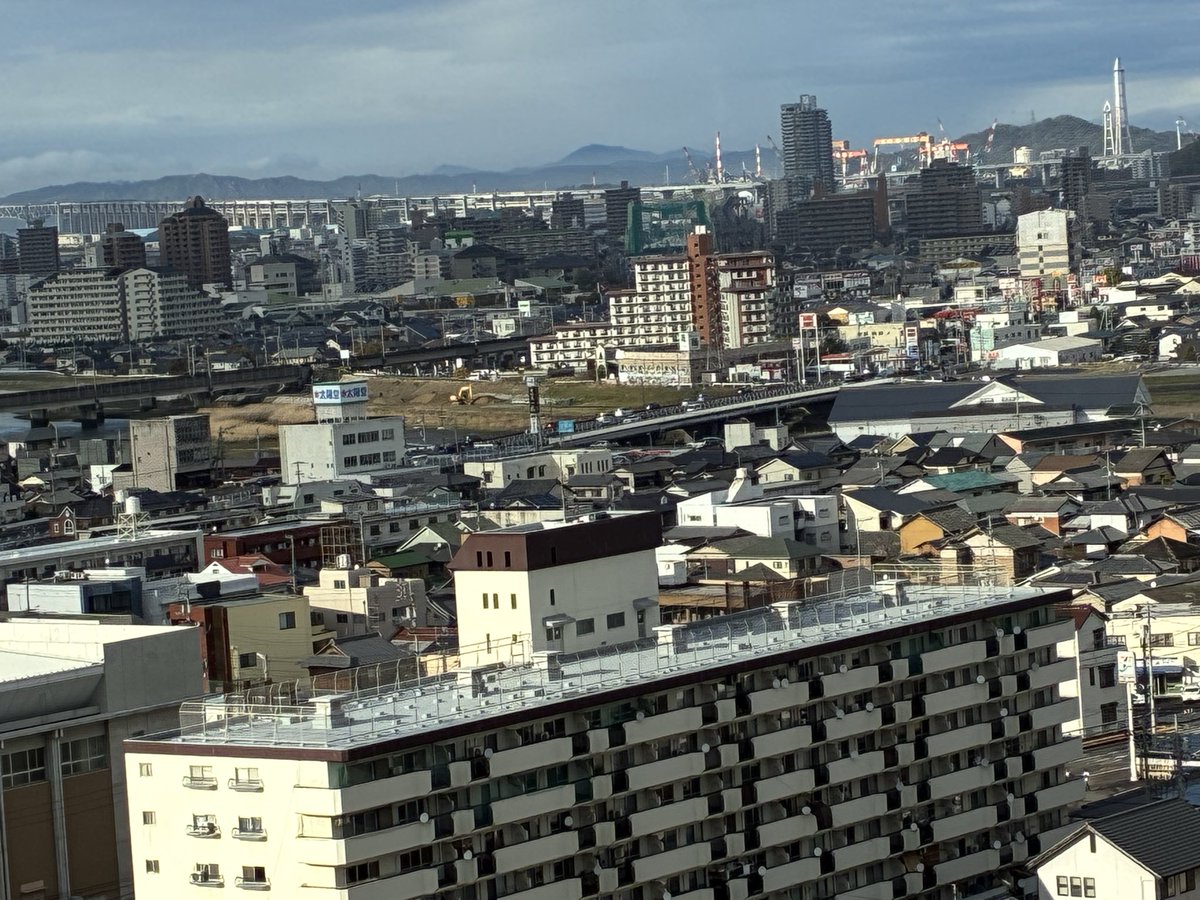 なてす。 tweet media