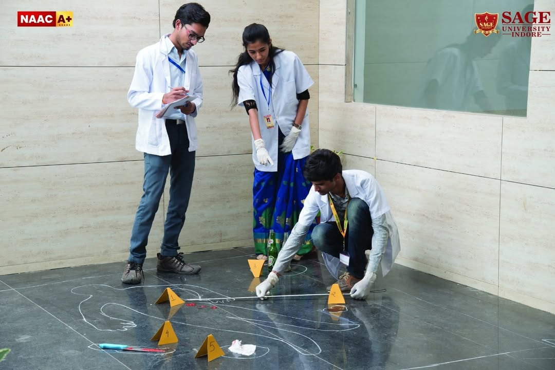 SAGE_INDORE's tweet image. In every corner of the campus, learning comes alive—from library insights to forensic labs, media storytelling to playground energy. Here, students grow into confident professionals, ready for the real world.
__
#SAGEUniversityIndore #StudentsLife #UniversityCampus #LifeAtSAGE