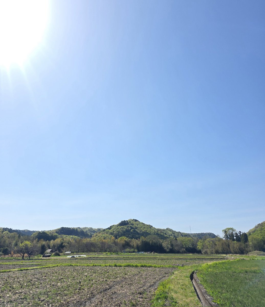 さとみん✿︎ tweet media