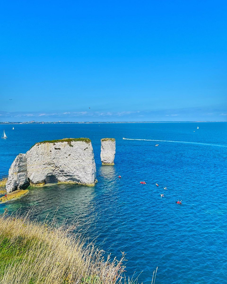 Rezijoziya tweet media