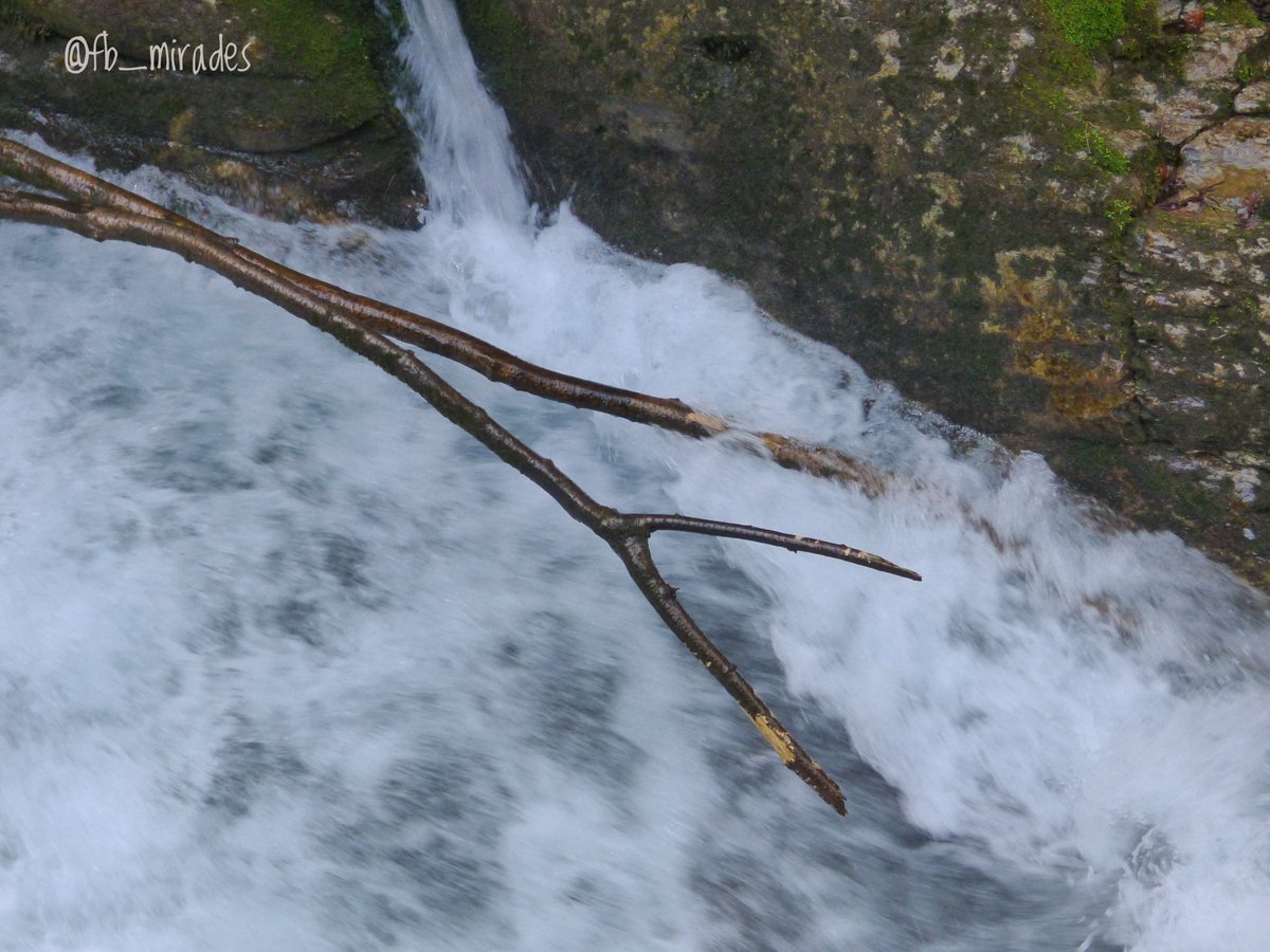 Francesc Brunés 💐🌻🪻 tweet media