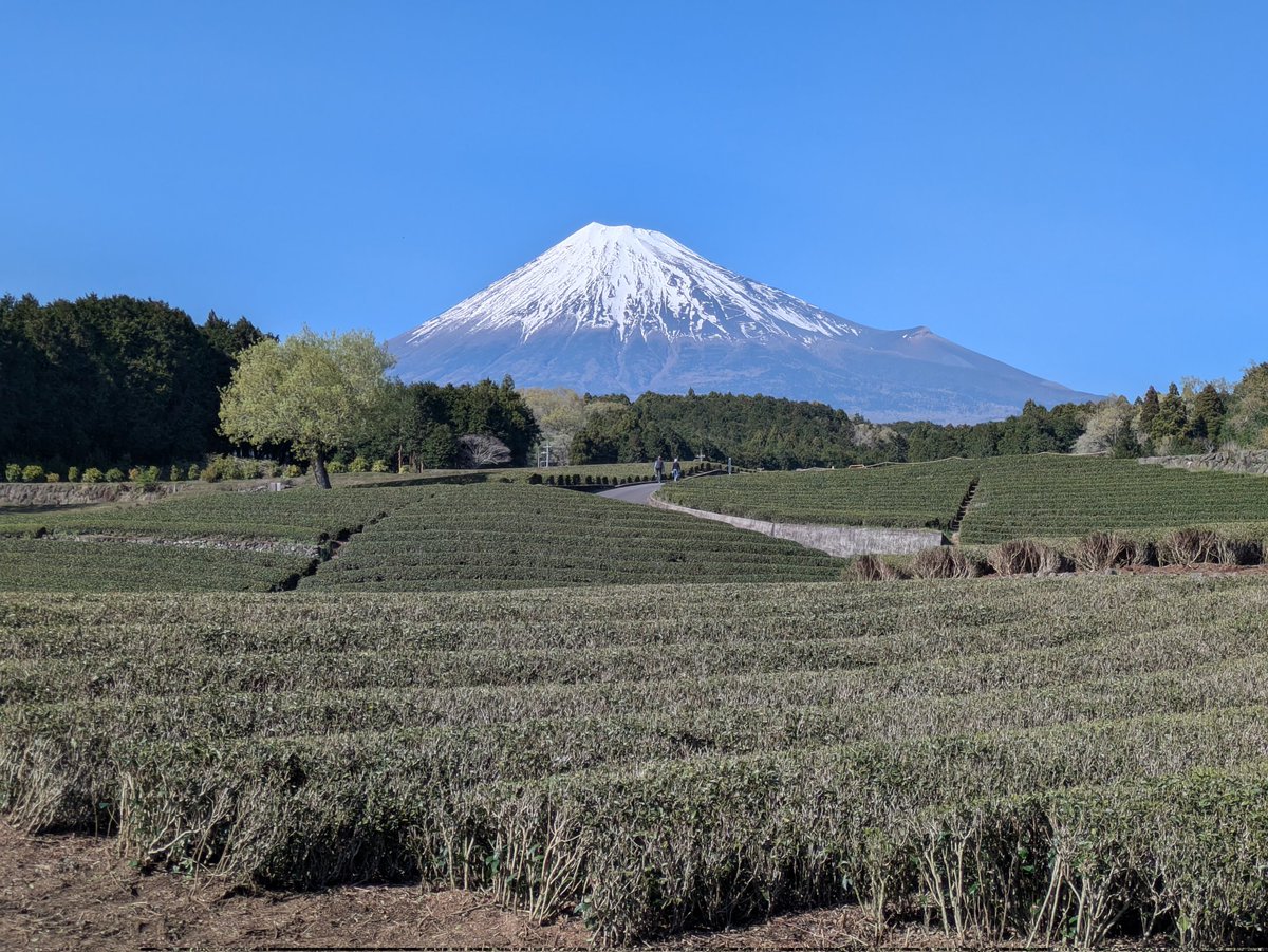 じろ🍀 tweet media