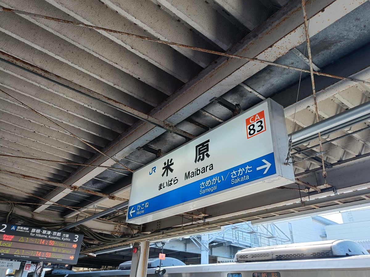 米原まで来ました