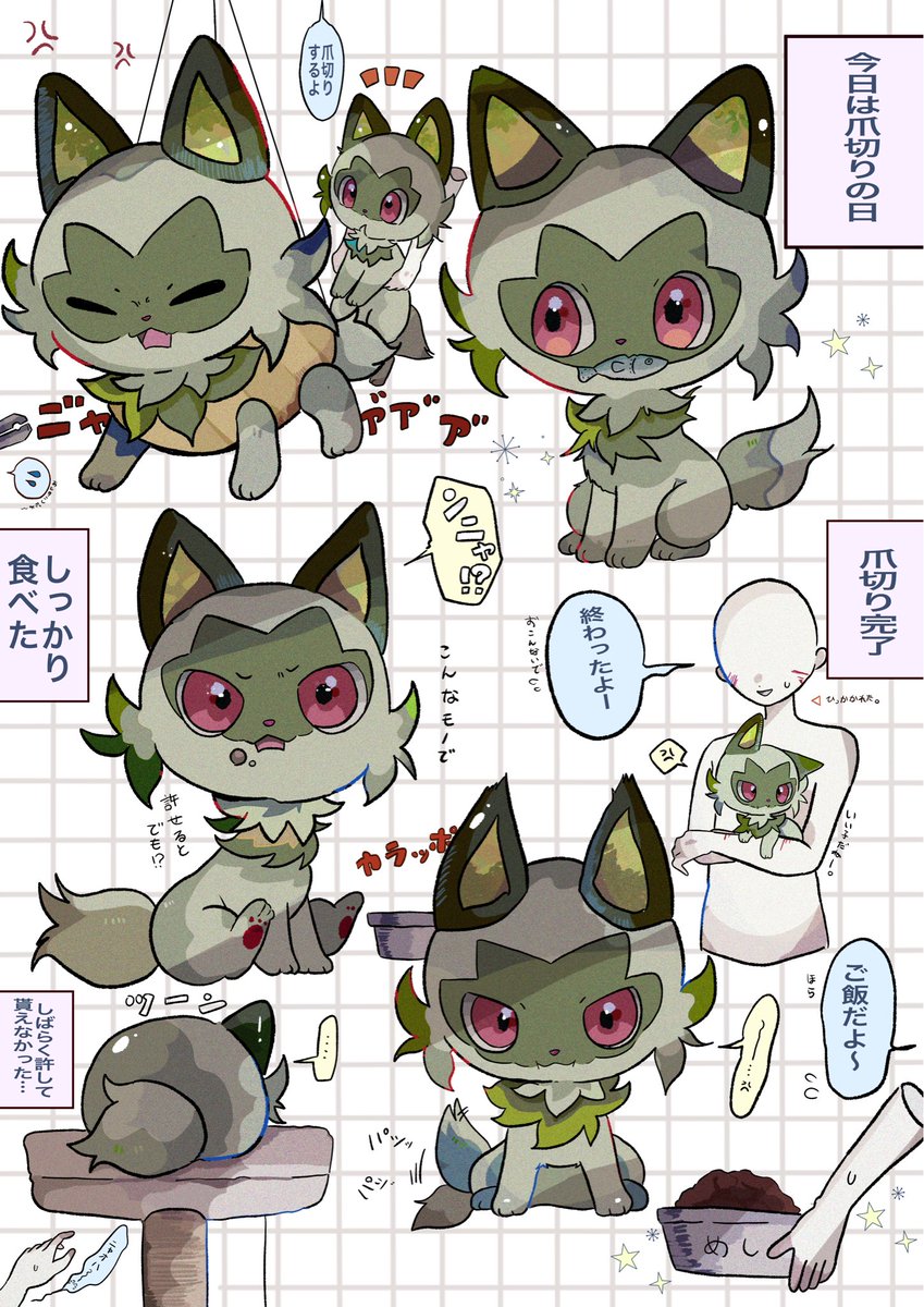 メンダコ🐙 tweet media