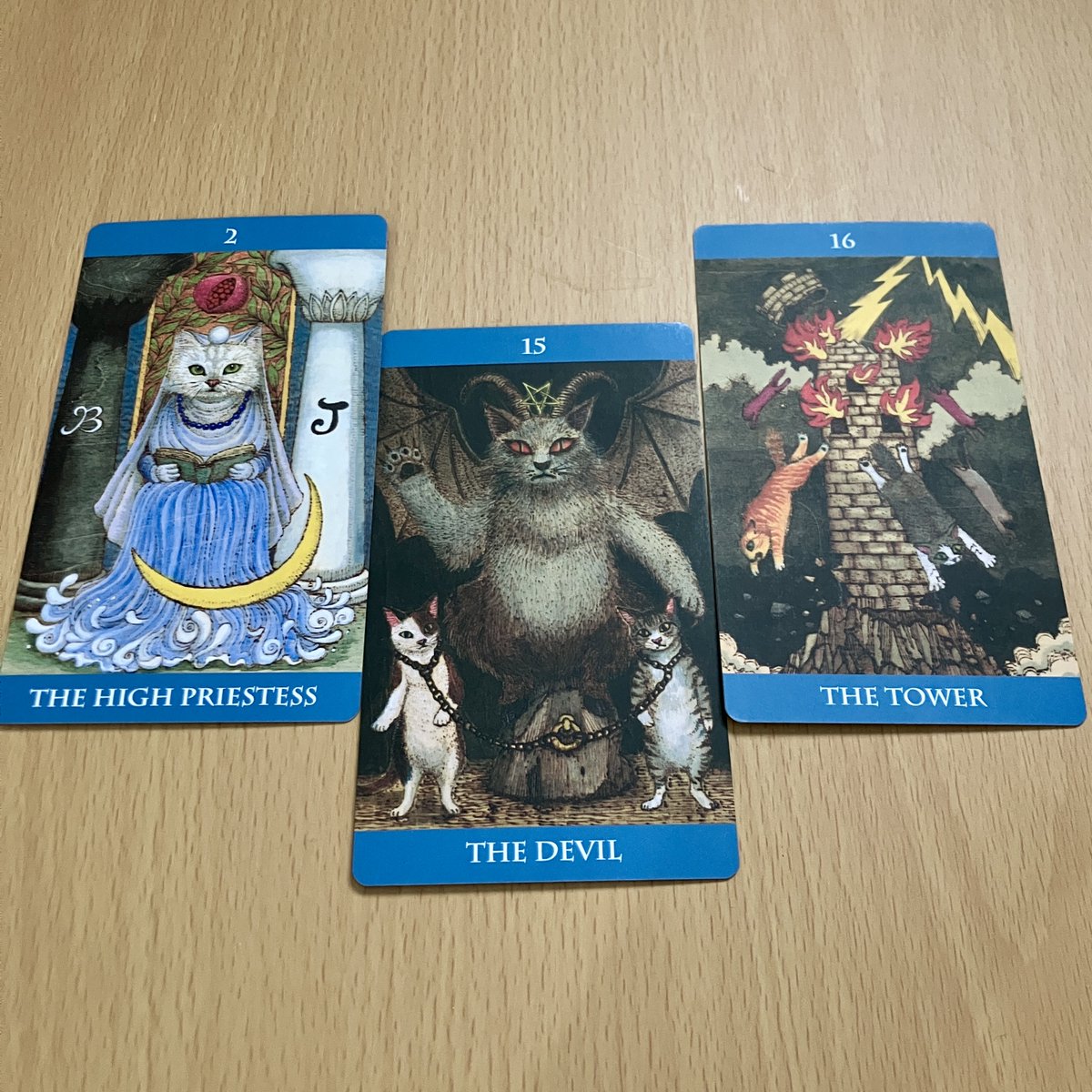 kiriya_t's tweet image. 🃏タロット家の猫たちの日常🐱
〜明日の朝が早い、前の晩〜
女教皇猫＞
「準備をして、早目に休みましょ」
悪魔猫＞
「寝る前にちょっとだけゲーム〜止まらん〜ひゃっは〜！」
塔＞
「どうせ起きるんだから、寝なけりゃいいのさ」
明け方…zzz→遅刻パターン
＃猫タロット占い
＃CATCARETAROT