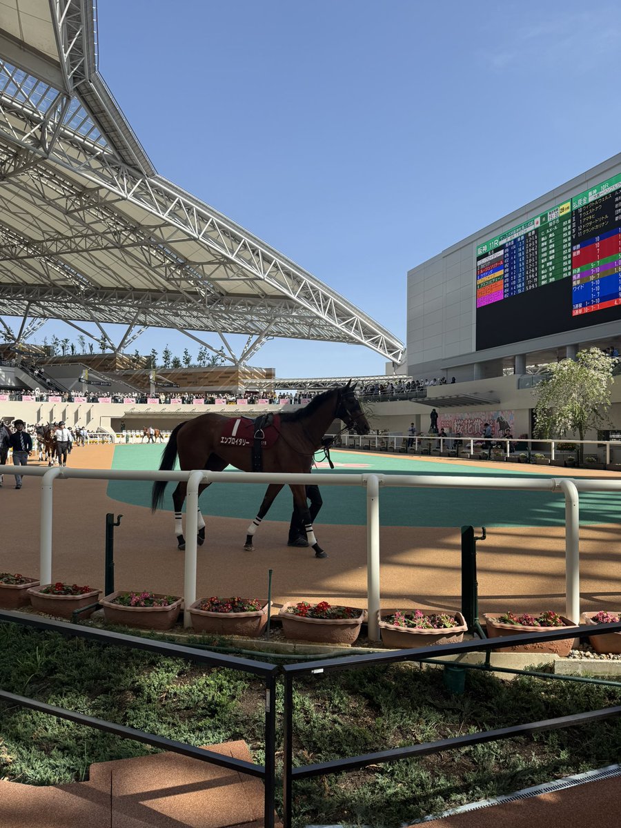 井形剛士™（いがたつよし）Tsuyoshi Igata tweet media