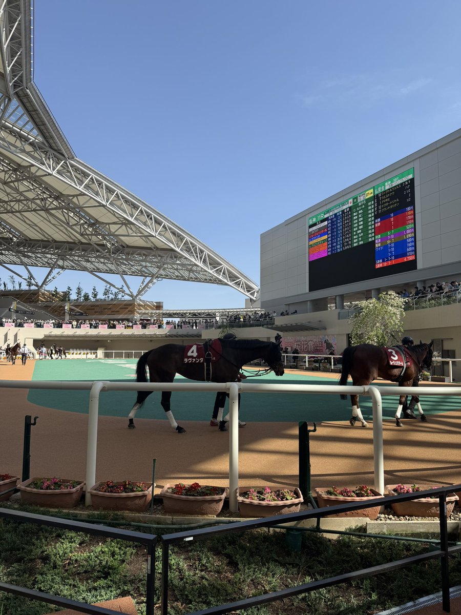 井形剛士™（いがたつよし）Tsuyoshi Igata tweet media