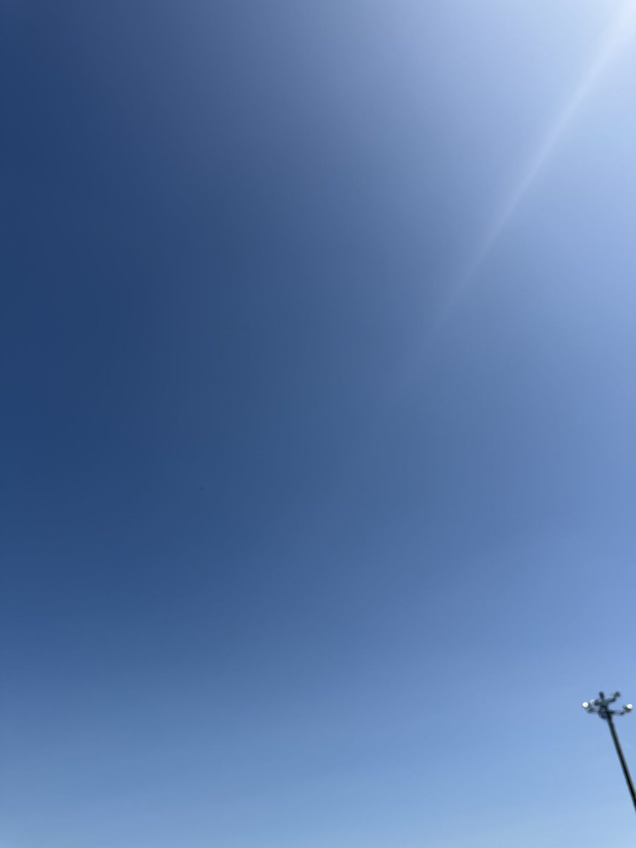 ひんやり梨 tweet media