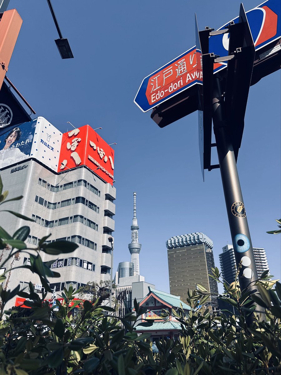 쓧 テラヲマサキ (@sweetpulse) on Twitter photo 