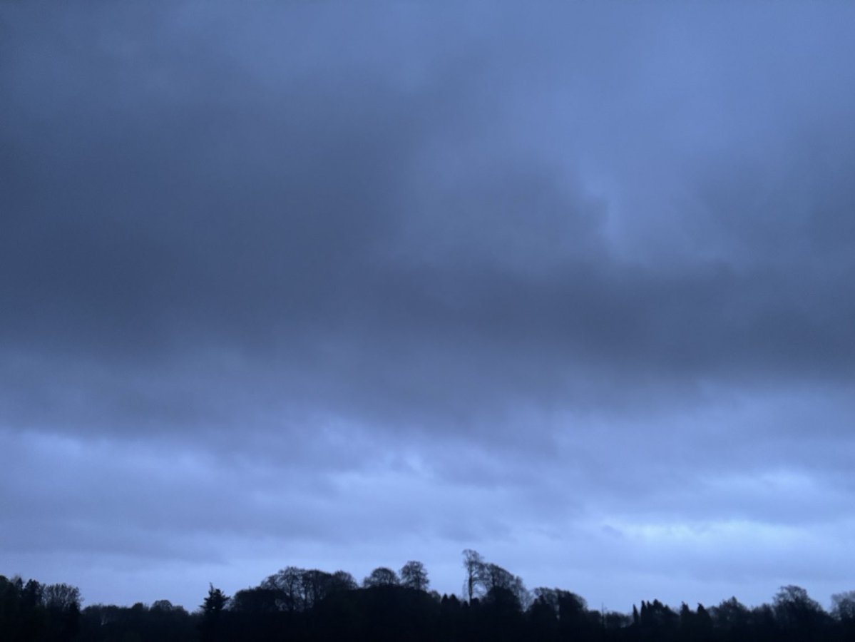 DevilMayCare tweet media