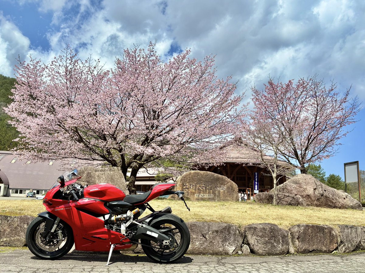skevebitch's tweet photo. なんとか間に合った。
 #桜とバイク https://t.co/8WjBgWkhlv