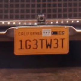 Miranda ⸆⸉🐾 tweet media