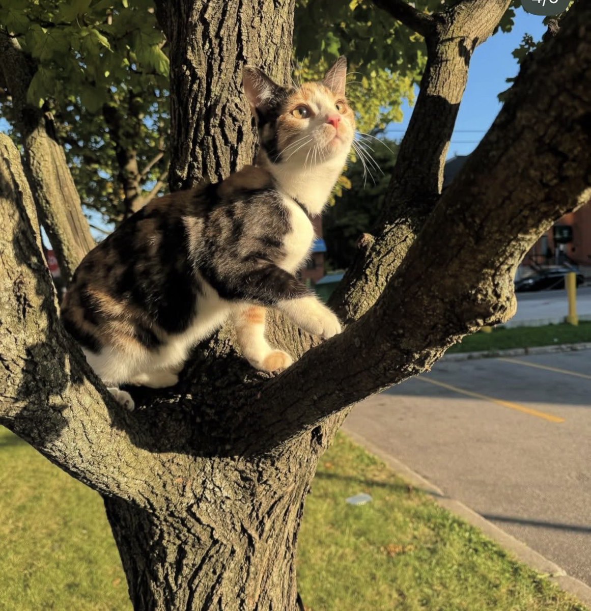 LadyRuski🫀 tweet media