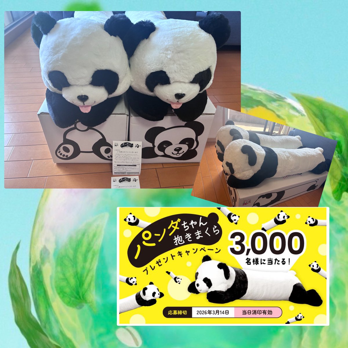 永谷園 パンダちゃん抱きまくら 当選しました🐼 絶対欲しかったので