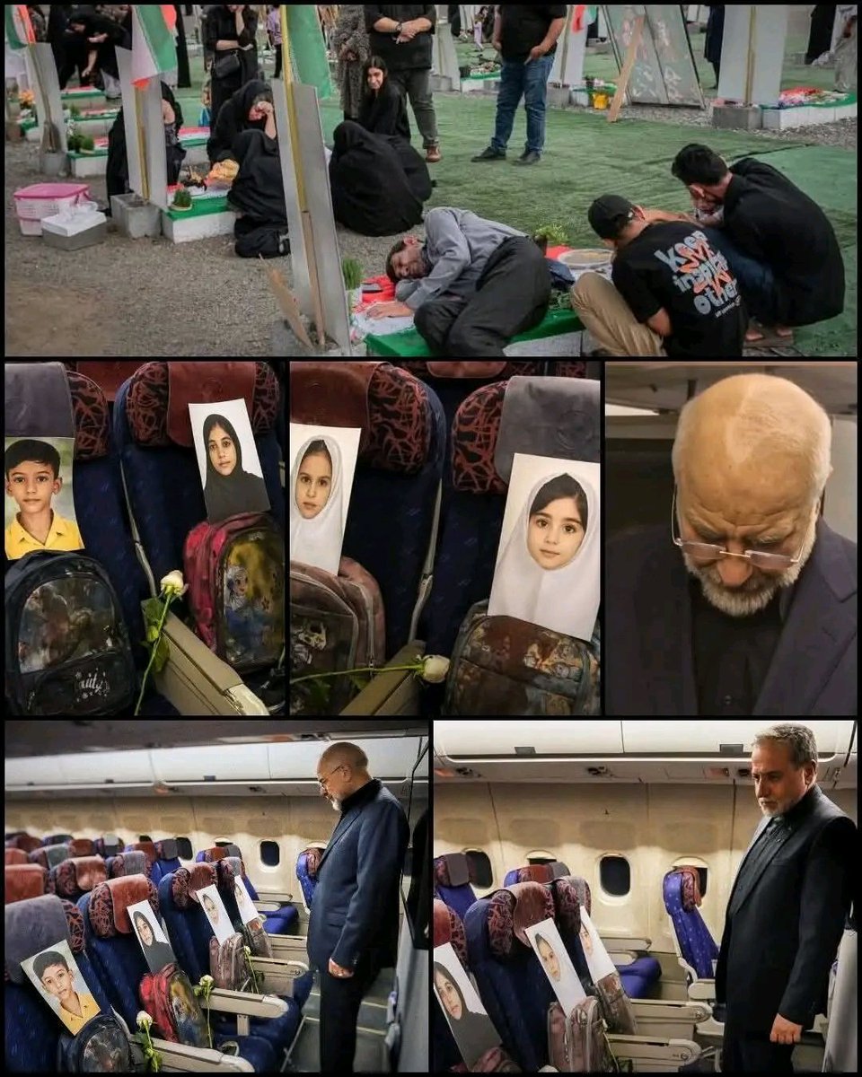 🦅 حافظ تسکین tweet media