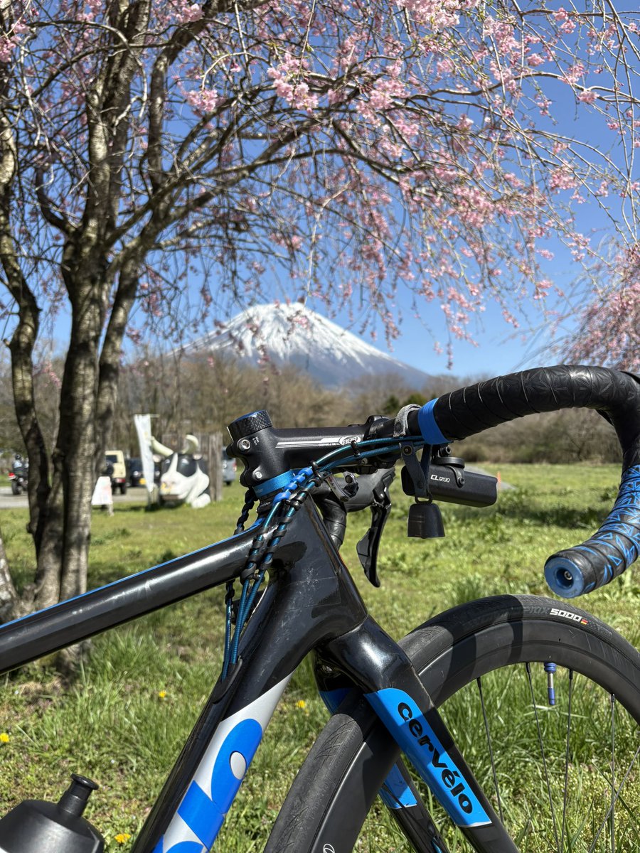 コーディ tweet media