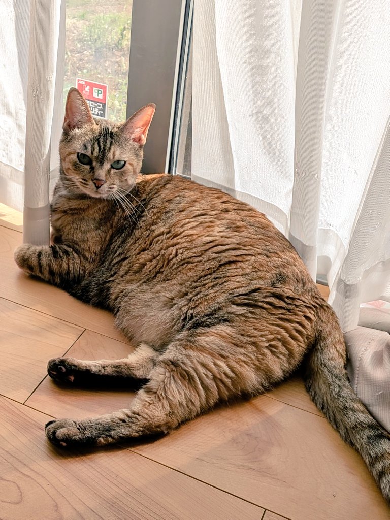 らび🌸 tweet media