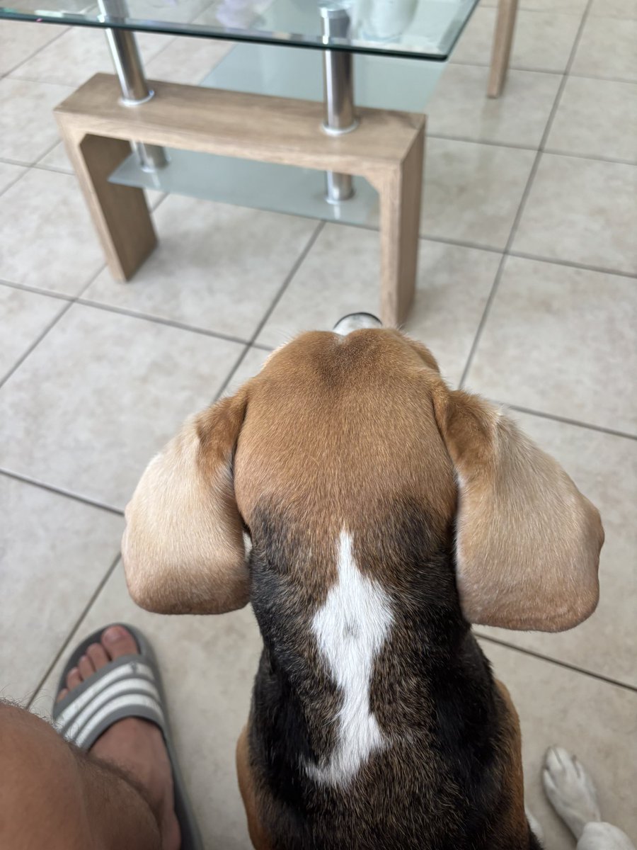 COMO UN G tweet media