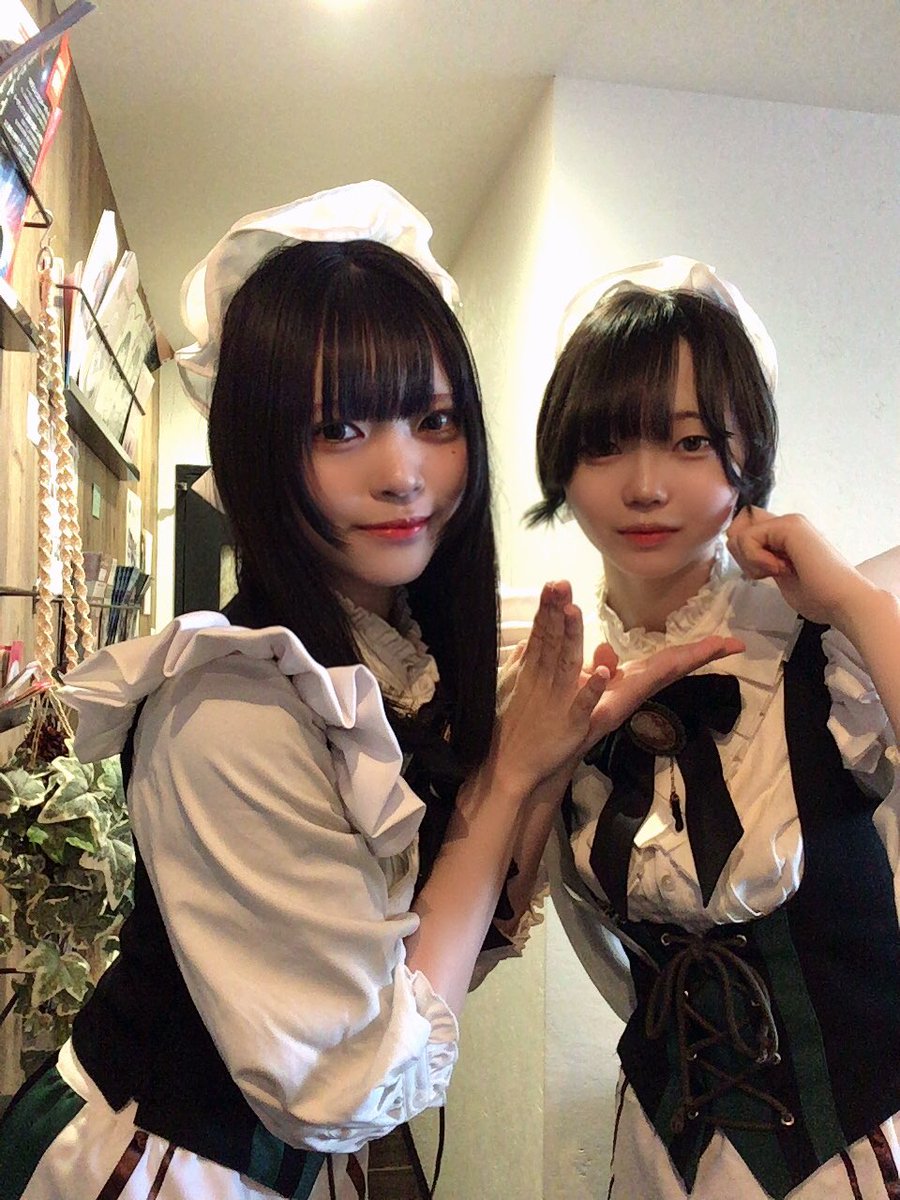 コモレビフィーカ tweet media