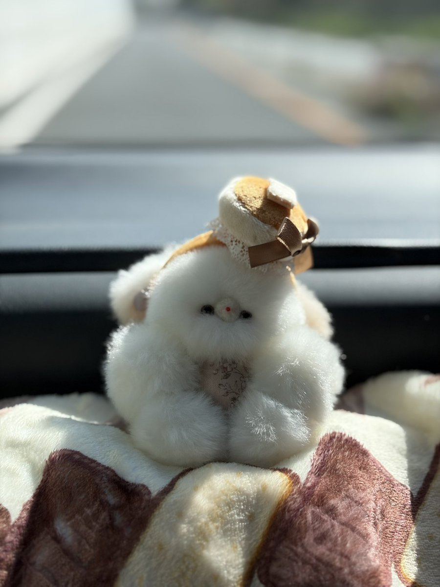 とあにょ tweet media