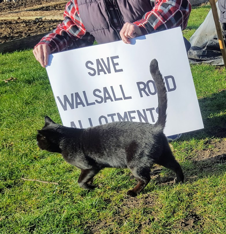 Robert Allotment cat,now helped by Janet & Amanda tweet media