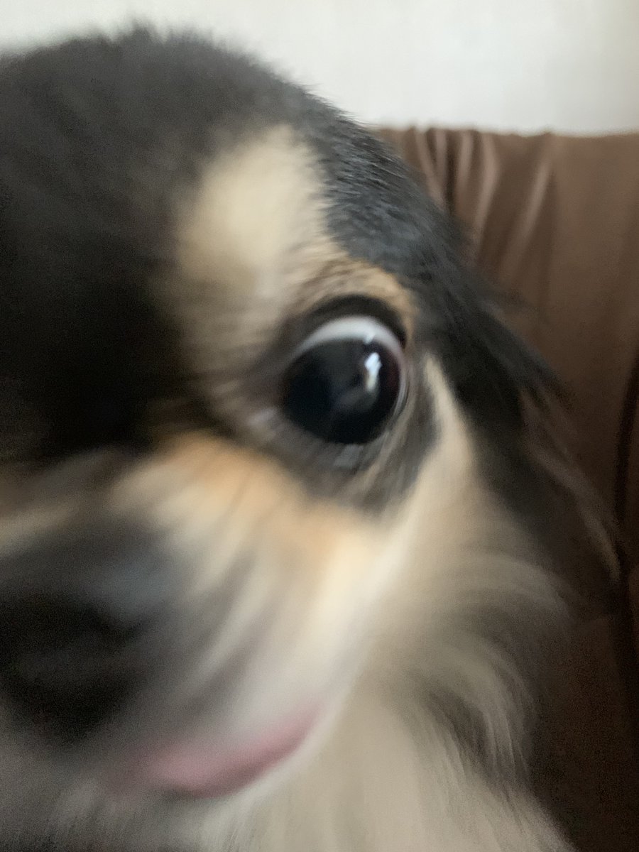 corori☠✝ tweet media