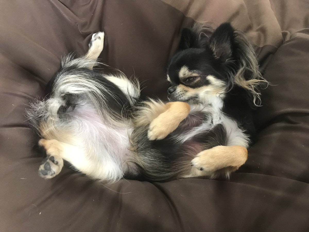 corori☠✝ tweet media