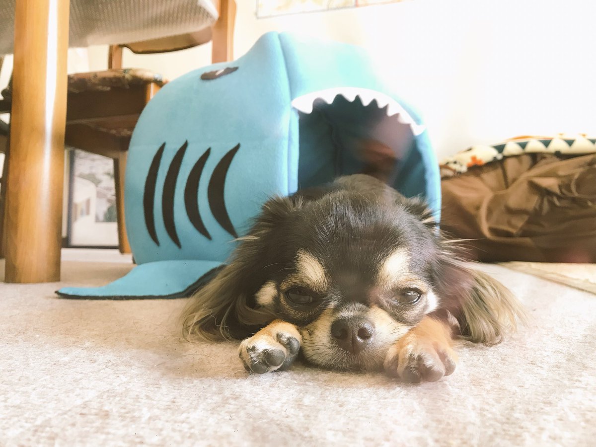 corori☠✝ tweet media