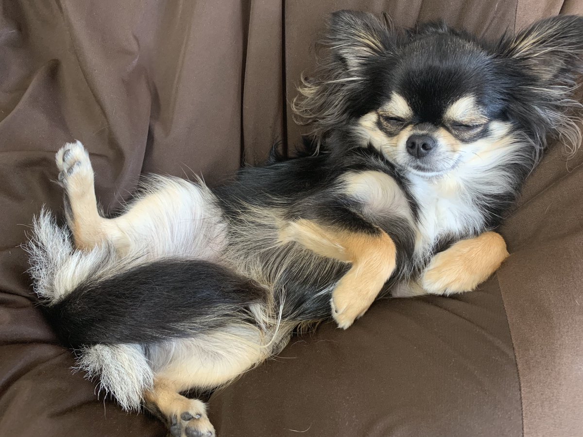 corori☠✝ tweet media