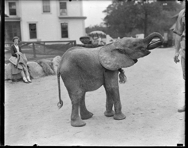 Flavio (❖,❖) tweet media