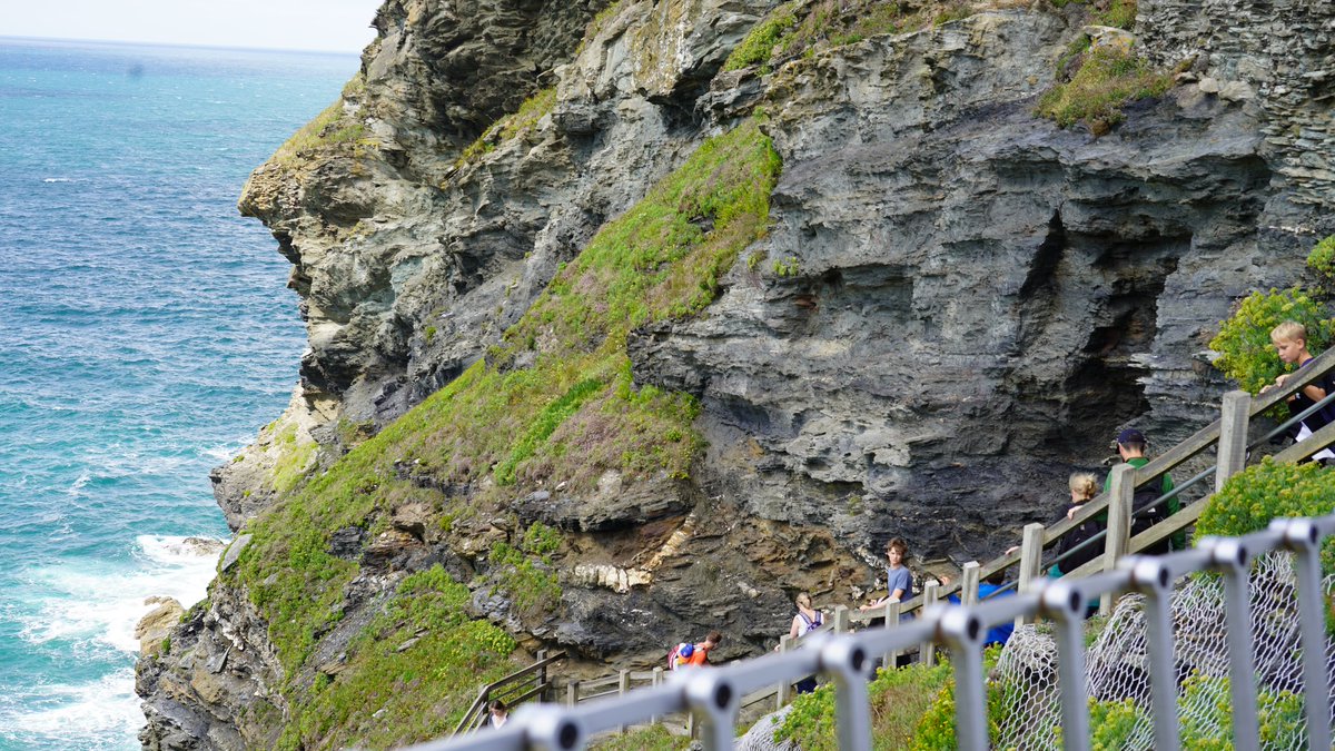 Rezijoziya tweet media