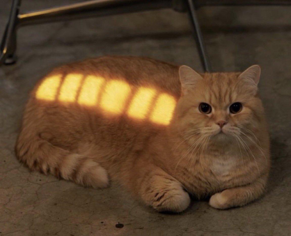 サンドバッグ君 tweet media