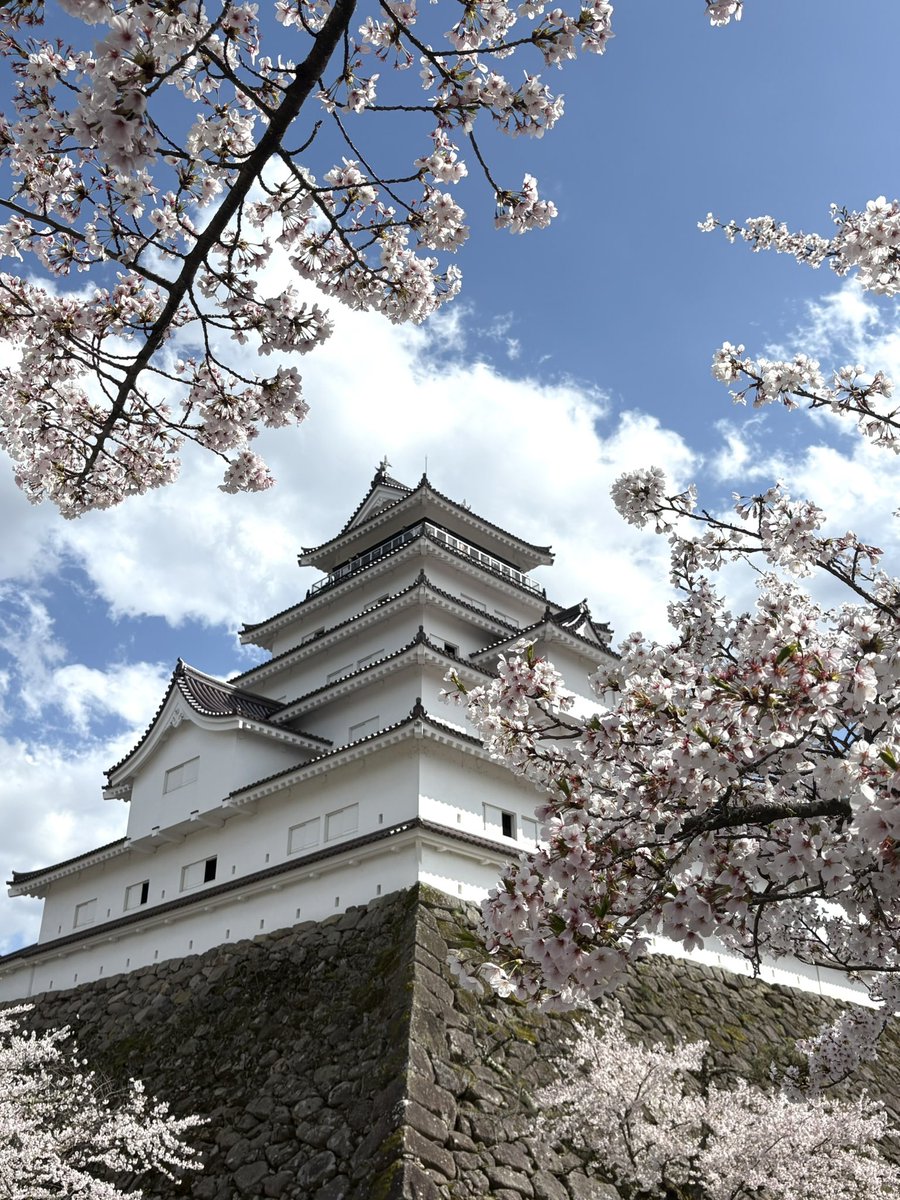 gaijintacle's tweet image. Imágenes del Castillo de Tsuruga, en Aizu-Wakamatsu (Fukushima), este 11 de abril. 🏯🌸

#Japón #Sakura