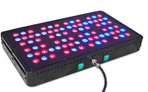 wsledlight's tweet image. #LED #Grow #Light Apollo 8S
Model: WS-Apollo8-80*5W
Actual Power: 260W
LED Light Source: 80pcs 5W LEDs
Ratio: Red:Blue=8:1!!!
See more at-wsledlight.com/led-grow-light…